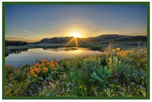 Landscape image of Big Bend Wildlife Area - sun is setting over the water - yellow purple and orange wildflowers fill the fields.